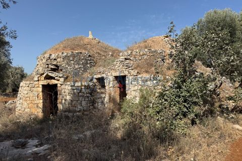 Farm hus i Ostuni, Brindisi, Ostuni - € 85.000 | Ref: 172956 - foto 22
